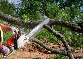 Best Utility Line Clearance  in Middleport, OH